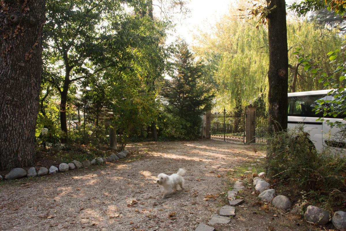 Al Parco Bed & Breakfast Curtatone ภายนอก รูปภาพ